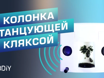 Беспроводные колонки с ферромагнитной жидкостью